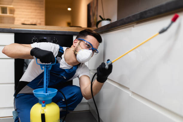 Professional Pest Control in Fairfax, OH