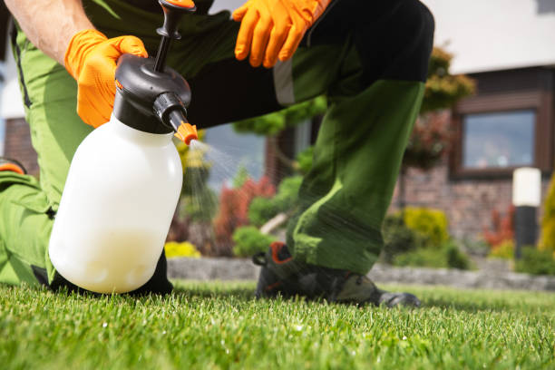 Best Cockroach Control Services  in Fairfax, OH