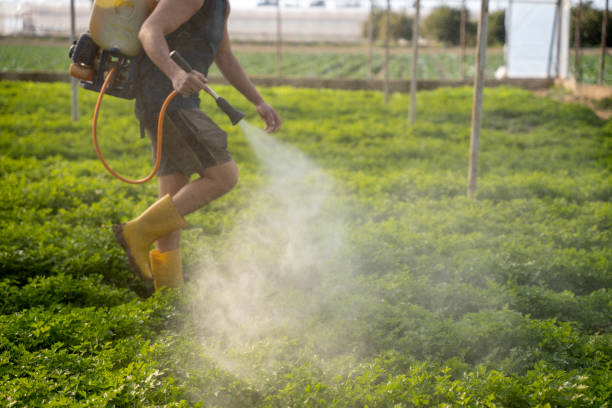Best Pest Prevention Services  in Fairfax, OH