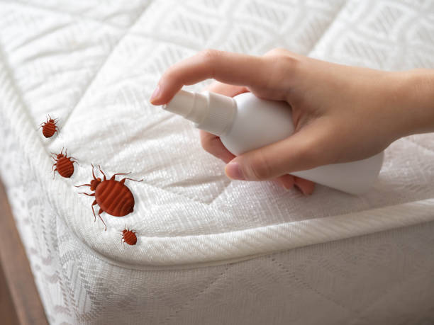 Flea Control Services in Fairfax, OH
