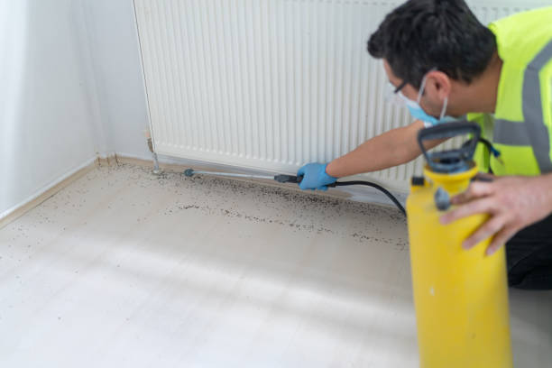Best Commercial Pest Control Services  in Fairfax, OH
