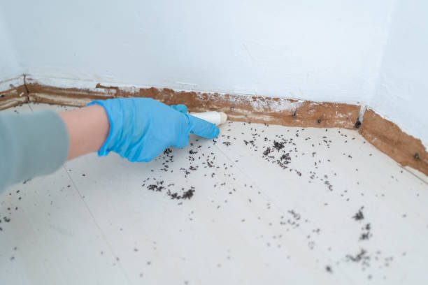 Best Mosquito Control Services  in Fairfax, OH