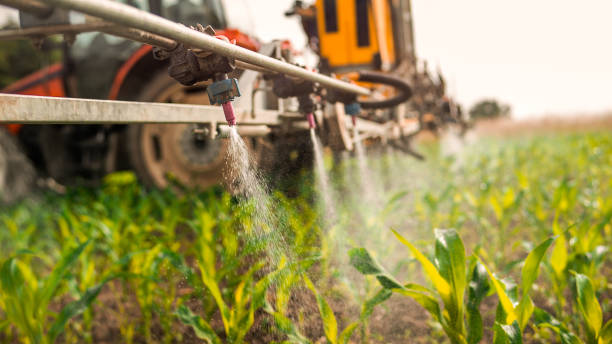 Best Wildlife Control Services  in Fairfax, OH